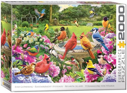 Eurographics Bird Gathering Puzzel (2000 stukjes)