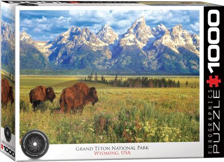 Eurographics Grand Teton National Park Puzzel (1000 stukjes)