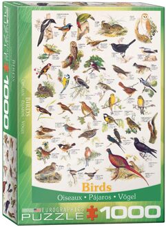 Eurographics puzzel Birds - 1000 stukjes