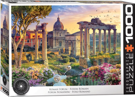 Eurographics Roman Forum - Rome Italy Puzzel (1000 stukjes)