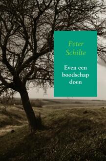 Even een boodschap doen - Boek Peter Schilte (9402109641)