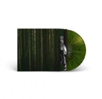 Evergreen - Paper Kites