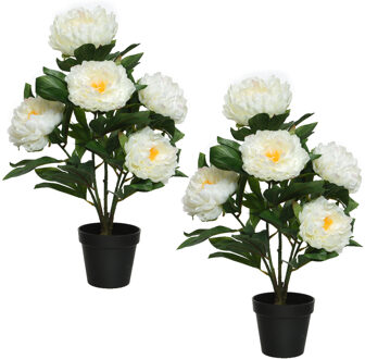 Everlands 2x stuks kunst pioenroos in pot - H57 cm - wit - kunst struik
