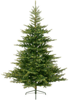 Everlands Kunst Kerstboom Groen Grandis Fir Groen 1564 Tips 180 Cm - Kunstkerstboom