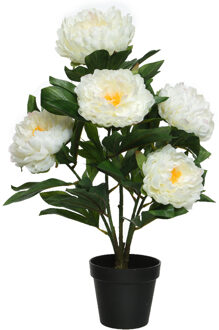 Everlands Kunst pioenroos in pot - H57 cm - wit - kunst struik