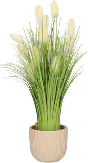 Everlands Kunstplant pampasgras - in pot wit - keramiek - H40 cm - Kunstbloemen