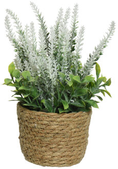 Everlands Lavendel - kunstplant in plantenmand - wit - D12 x H26 cm - Kunstplanten