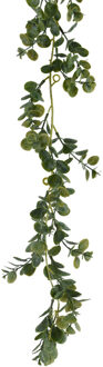 Everlands Planten slinger - eucalyptus - kunstplant - groen - 180 cm - Kunstplanten