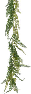 Everlands Planten slinger - varen - kunstplant - groen - 180 cm