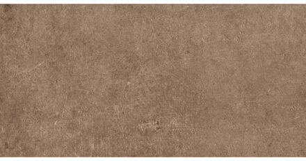 Evoca Vloer- en wandtegel 30x60cm 10mm gerectificeerd R10 porcellanato Terra 1606651 Terra Mat (Oranje)