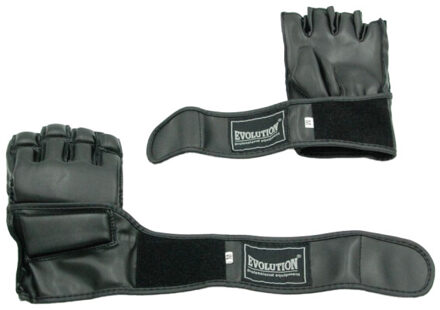 Evolution Mma leren bokstrainingshandschoenen Zwart