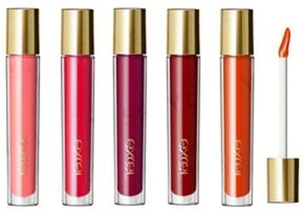 Excel Nuance Gloss Oil GO04 Dry Fig