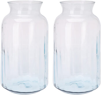 Excellent Houseware bloemenvaas - 2x - glas - transparant - bloemen en siertakken vaas - 19 x 30 cm