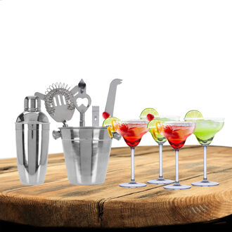 Excellent Houseware cocktails maken set 6-delig met 4x Margarita glazen - Cocktailshakers Zilverkleurig