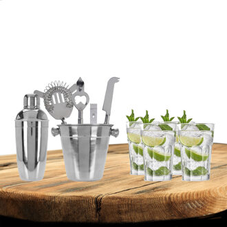 Excellent Houseware cocktails maken set 6-delig met 4x Mojito glazen - Cocktailshakers Zilverkleurig