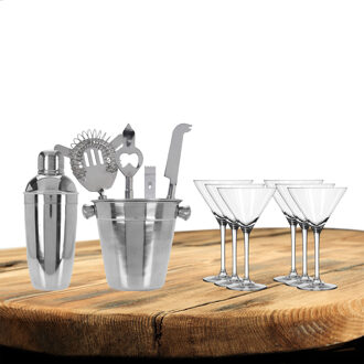 Excellent Houseware cocktails maken set 6-delig met 6x Martini glazen - Cocktailshakers Zilverkleurig