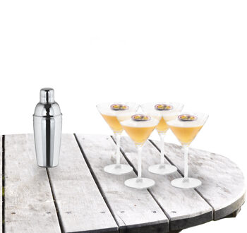 Excellent Houseware Cocktailshaker set met 4x stuks Martini cocktailglazen 260 ml - Cocktailglazen Transparant