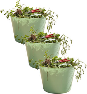 Excellent Houseware Flexibele kuip / emmer - 3x - mintgroen - 15 liter - kunststof - 35 x 28 cm - met handvatten