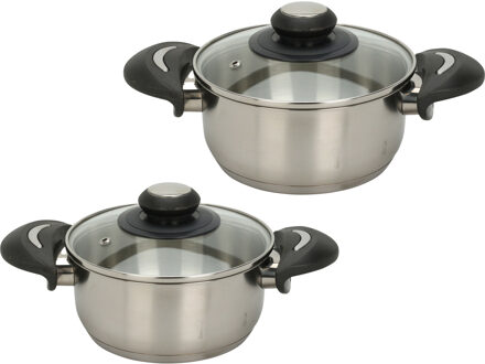 Excellent Houseware Kookpannen set - 2x - glazen deksel - RVS - 1.4/2.7 liter