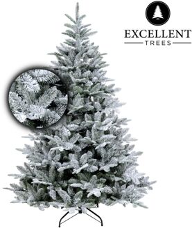 Excellent Trees Excellent Trees® Otta Kerstboom met Sneeuw 150 cm - Luxe uitvoering Groen, Wit