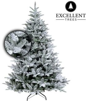 Excellent Trees Excellent Trees® Otta Kerstboom met Sneeuw 210 cm - Luxe uitvoering Groen, Wit