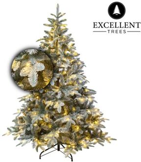 Excellent Trees Kerstboom Excellent Trees® LED Otta 180 cm met 320 lampjes Groen, Wit