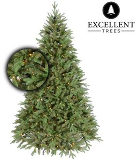 Excellent Trees Kerstboom Excellent Trees® LED Ulvik 210 cm met 460 lampjes Groen