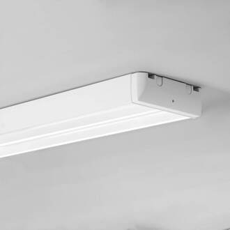 Excis plafond 115cm DALI 840 Midflood 166W wit, gesatineerd, helder