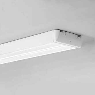 Excis plafond 115cm DALI 840 Midflood 95W wit, gesatineerd, helder