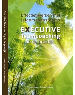 Executive Teamcoaching in de praktijk