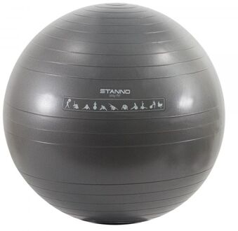 Exercise Ball Fitnessbal Unisex - Maat 65 cm
