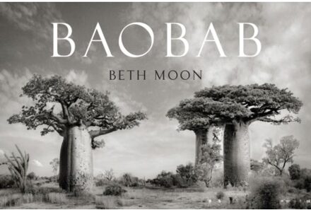 Exhibitions International Baobab - Moon, Beth