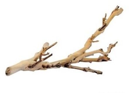 Exo Terra EXO TERRA FOREST TAK, KLEINE 30cm