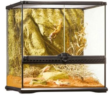 Exo Terra - Glas terrarium incl achterwand 60x45x30cm