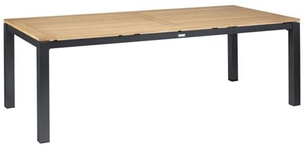 Exotan Memphis Tuintafel 220 x 100 cm Bruin, Grijs