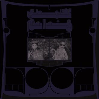 Exotic Birds Of Prey - Shabazz Palaces