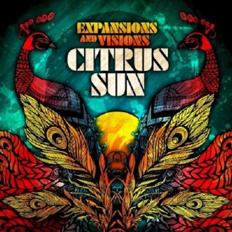 Expansions And Visions