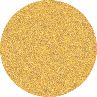 Expert C470 schuurpapier voor excenterschuurmachines 125 mm, geen gaten, K40 50-delig - 1 stuk(s) - 2608900951