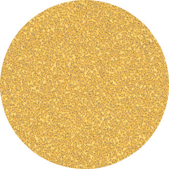 Expert C470 Schuurpapier voor Excenterschuurmachines 225 mm | geen gaten | K40 - 2608901019