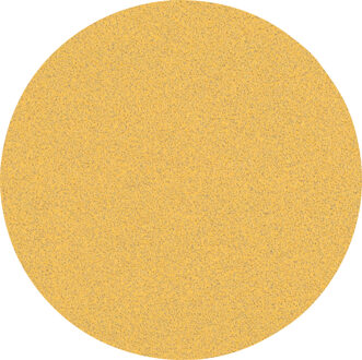 Expert C470 Schuurpapier voor Excenterschuurmachines 225 mm | geen gaten | K80 - 2608901021