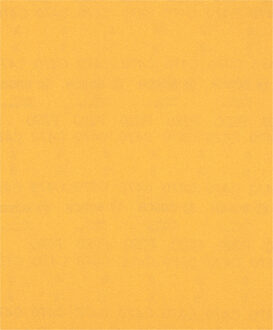 Expert C470 schuurpapiervel voor handmatig schuren 230 x 280 mm, K220 - 50 stuk(s) - 2608900964