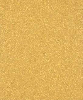 Expert C470 schuurpapiervel voor handmatig schuren 230 x 280 mm, K40 - 25 stuk(s) - 2608900957