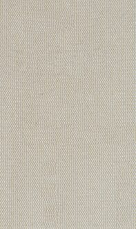 Expert M480 schuurnet voor vlakschuurmachines 80 x 133 mm, K220 - 1 stuk(s) - 2608900739