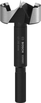 EXPERT Wood Forstner Boor | 36 mm - 2608901838