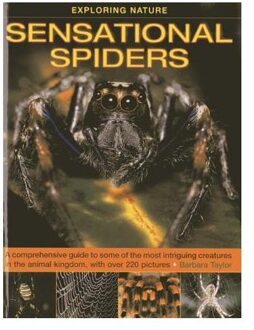 Exploring Nature: Sensational Spiders