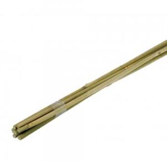 Express Bamboestok 120 cm - 10 stuks