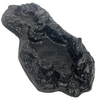 Express beekloop medium