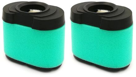 Extended Life Serie 2 Pack Van Luchtfilter Voor Briggs & Stratton 792105 276890