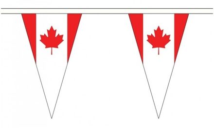 Extra Lange Canada Vlaggenlijnen Van 20 Meter - Feestslingers Multikleur