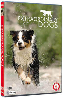 Extraordinary Dogs